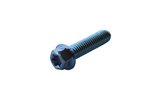 Screw hex head Torx M6x25mm