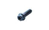 Screw hex head Torx M8x25mm