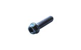 Screw hex head Torx M8x30mm