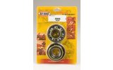 Crankshaft Bearings and Oil Seals Hot Rods RM 250 1996-2002