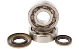 Crankshaft Bearings and Oil Seals Hot Rods RM 250 2003-2004