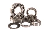 Transmission Bearing Kit Hot Rods SX 50