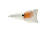 Indicator rear left Peugeot Speedfight 2