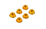 Nuts M6 (x6) gold