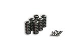Clutch Springs Malossi M675235 - M673888 - M673730