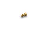 Banjo Bolt Motacc M10x1.25 gold