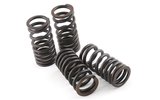 Valve Spring Set (4) Malossi Piaggio VX-R 200