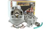 Cylinder Kit Malossi Replica 50cc Minarelli AM6