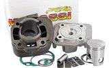 Cylinder Kit Malossi Sport 50cc cast iron 12mm pin CPI AC