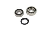 Crankshaft Bearing Set Solex