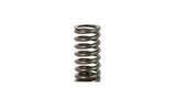 Valve Spring Piaggio Vespa GTS / GTV 250-300cc
