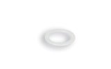 Washer Malossi d=20x1mm