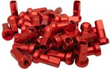 Spoke Nipple Set (x36) MX1 8 mm red