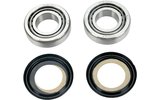 Steering Head Bearings Gasgas