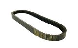 V-Belt Dayco Power Plus Majesty / Leonardo / Velvet / Jupiter / Madison
