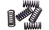 Clutch Spring Kit Hinson YZF / WRF 250