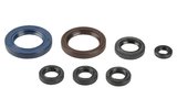 Oil Seal Kit engine EXC 520 / 525