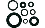 Oil Seal Set Moose Racing CR 250 1992-2001
