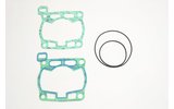 Gasket Kit top end RM 125