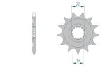 Front Sprocket Afam 13 teeth TC 250