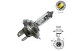 Halogen Bulb headlight Flosser 12V - 35/35W - PX43T - HS1