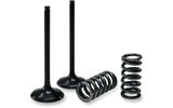 Exhaust Valve Set Prox w/ springs RM-Z 450 2007