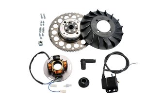 Sytytyssytytys analoginen Polini Vespa PX 125/150/200cc