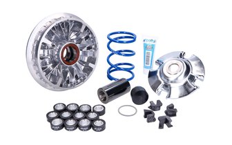 CVT Polini Maxi Hi-Speed Honda SH / Forza 350 Euro 5