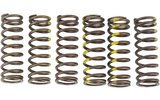 Clutch Springs Pro Circuit RMZ 450