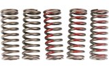 Clutch Springs Pro Circuit CRF 250 2010-2017