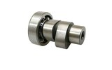 Camshaft Piaggio 4-stroke 4V