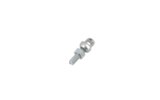 Strut Bolt M6x22mm (x1)