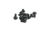 Phillips Screw M6x12 black (x10)