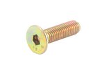 Screw brake disc M8x30mm galvanized