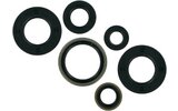 Oil Seal Set Moose Racing SX 65