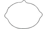 Gasket f. clutch case Moose Racing DR-Z 400