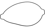 Gasket clutch case Moose Racing TC / SX 125