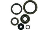 Oil Seal Set Moose Racing SX / EXC 250