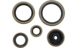 Oil Seal Set complete Moose Racing SX 250 / EXC 300