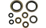 Oil Seal Set complete Moose Racing EXC 450 / SX 525