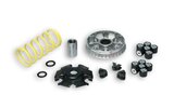 CVT Malossi Multivar 2000 Peugeot Tweet 125 Euro 5