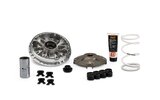 CVT Malossi Multivar 2000 Honda SH 350 Euro 5