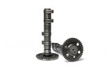 Double Camshaft Malossi Power Cam Yamaha Tmax 560