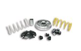 CVT Malossi Multivar 2000 Vespa Primavera 125 Euro 4 / 5
