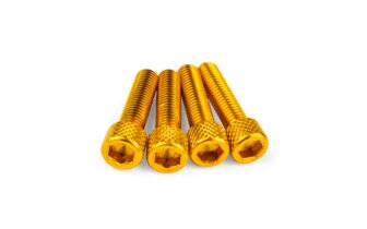 Imusarjan ruuvisarja STR8 M6x25mm Alu Gold (x4)