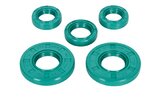 Oil Seals Schmitt Evolution FKM twist direction Simson S50