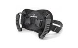 Passenger Safety Belt