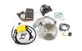 Inner Rotor Ignition Malossi MHR TEAM 2 Piaggio LC