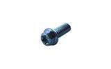 Screw hex head Torx M6x16mm