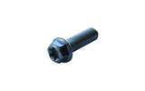 Screw hex head Torx M6x20mm